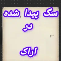 سگ پیدا شده در اراک