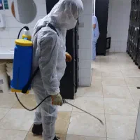 سمپاشی اصولی موریانه ساس سوسک کک سم پاشی|خدمات نظافت|اصفهان, ملکشهر|دیوار