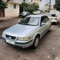 سمند تگ برگ سند