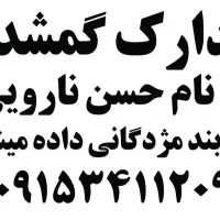 مدارک گمشده