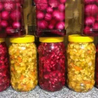 انواع ترشی های خانگی خاص برای سلیقه های خاص|خوردنی و آشامیدنی|تهران, اتابک|دیوار