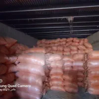 کاه گندم دیمی انباری