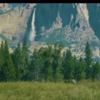 کاش داشت برداشت