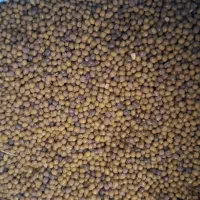 یه تن ماش فلارد