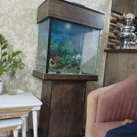 آکواریوم
