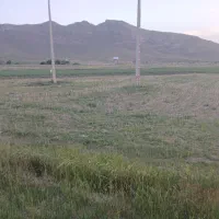 ۱۰۰۰ متر زمین مسکونی|فروش زمین و ملک کلنگی|ضیاء آباد, |دیوار