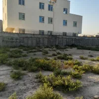 زمین باغی