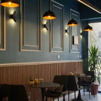 مهماندار خانم