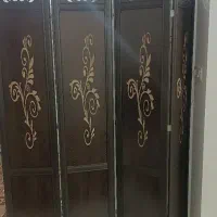 پارتیشن پاراوان