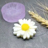 قالب سیلیکونی