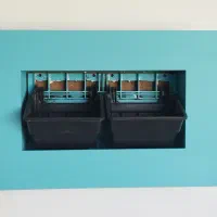 قاب دیواری پتوس|گل و گیاه طبیعی|اصفهان, پینارت|دیوار