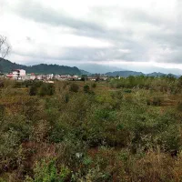 زمین طلایی خیابان فیاض برای مشارکت با سازنده معتبر