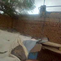 قفس کفتر