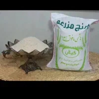 برنج هاشمی اعلا|خوردنی و آشامیدنی|کلاچای, |دیوار