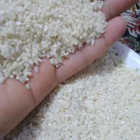 نیم برنج طارم هاشمی