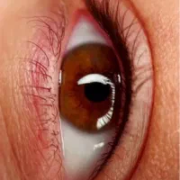 ارایش دائم|خدمات آرایشگری و زیبایی|دهدشت, |دیوار