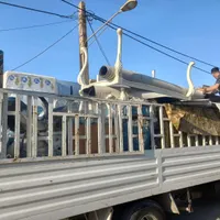 باربری حمل و نقل اثاثیه منزل( ۱۰۰٪تضمینی)|خدمات حمل و نقل|اهواز, کمپلو شمالی|دیوار