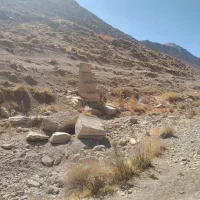 زمین کشاورزی و گلخانه ای