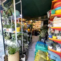 واگذاری اجناس مغازه گلفروشی گیاهان آپارتمانی|گل و گیاه طبیعی|کرج, حسین‌آباد|دیوار