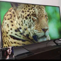 ال ای دی lg 50 inch اصل کره