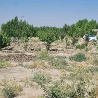 450 متر زمین 3 بحر ذخیره بافت سند دار