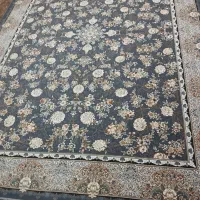 فرش جمیل چهارعدد 9متری 1200شانه هرکدوم جفت داره|فرش|محلات, |دیوار