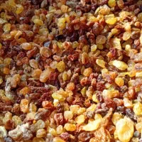 کشمش آفتابی بیدانه