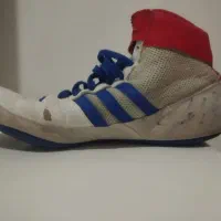 کفش کشتی|کیف، کفش، کمربند|صفادشت, |دیوار