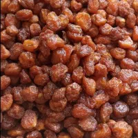 الوبخارا آلوبخارا|عمدهفروشی|زابل, |دیوار