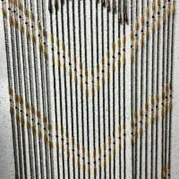 پرده مهره ای