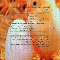 کارگر مرغداری