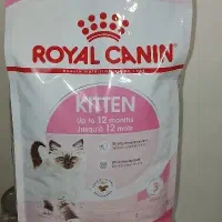 رویال کنین کیتن