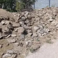 کود مرغ وکود کوسفند گاو