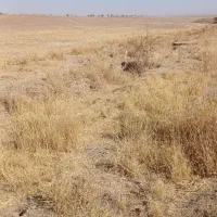اجاره-زمین-ابی-روستای-بالای-مهاجران