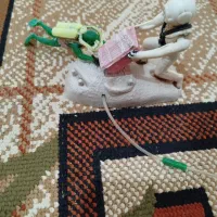 آکواریوم|ماهی|رباط‌کریم, مسکن مهر آبشناسان|دیوار