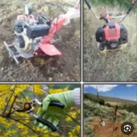 علف زنی وپاکنی باغهاوباغچها وگلخانها|خدمات باغبانی و درختکاری|صدرا-فارس, |دیوار