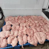 دنبه بره پرواری تازه و انجماد