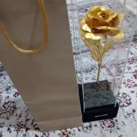 باکس گل رز طلایی|گل مصنوعی|قم, انسجام|دیوار