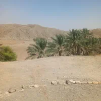 زمین کشاورزی اجاره ای