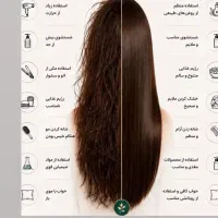 روغن طبیعی کمک به کاهش خشکی و درد مفاصل
