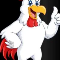 جوجه مرغ و خروس  و بوقلمون  و غیره