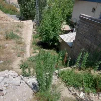 یک قطعه زمین 150 متری روستای نیاک|فروش زمین و ملک کلنگی|رینه, |دیوار