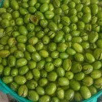زیتون شکسته اعلا