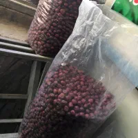 عناب|خوردنی و آشامیدنی|کرج, ساسانی (قلمستان)|دیوار