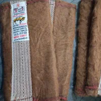 زانوبند شتر