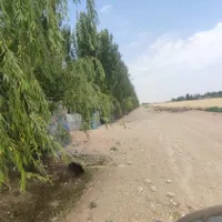 فروش زمین ۳۰۰ متری در قاسم‌آباد|فروش زمین و ملک کلنگی|تهران, قاسم‌آباد|دیوار