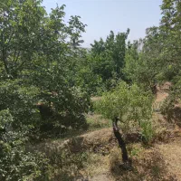 باغ حاصل خیز اسکو