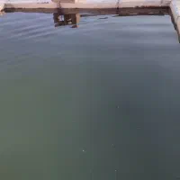 باغ|فروش دفتر صنعتی، کشاورزی، تجاری|دورود, |دیوار