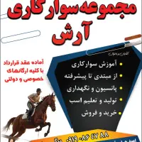 باشگاه سوارکاری (آموزش ، پانسیون)