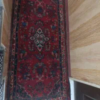 ب علت کمبود جا فروخته میسود
